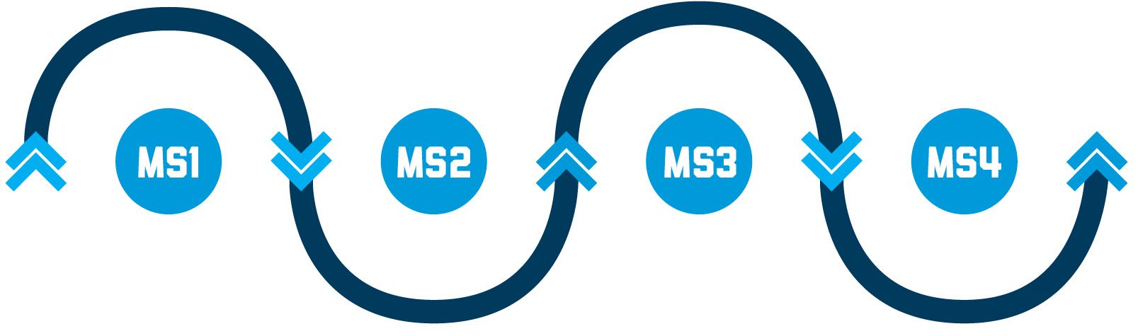 med school progression from MS1 to MS4